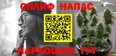 прущая мука Моздок