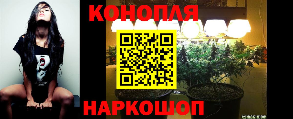 Марихуана индика  МАРИХУАНА гибрид  Конопля White Widow  Вход с VPN  Каннабис Amnesia  Шадринск 